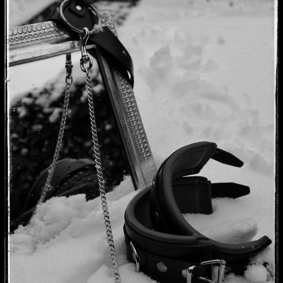 Boeien in de&nbsp;sneeuw